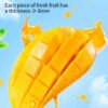 120G Dried Mango