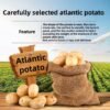 He7c00b63895e4643b752178e209e9a4bU.jpg JIUR New Flavor Jasmine Oolong Snacks Crispy Tasty Salty Zero Trans Fats Casual Office Snacks Sweet Vegetable Fruit Box on Sale