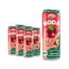 S070f5b67c8e34548b61f8c14f93ccc3aw.jpg Refreshing Fruit Soda Drinks 320ML Canned Blueberry Sparkling Fruit Juice OEM Private Label Soft Drinks Factory in Vietnam ODM