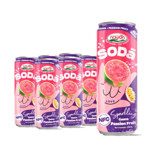 S547b490046b6458095a812a400c5f428s.jpg Refreshing Fruit Soda Drinks 320ML Canned Blueberry Sparkling Fruit Juice OEM Private Label Soft Drinks Factory in Vietnam ODM