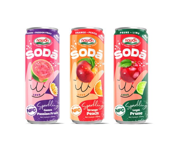 Sc90dc026daca4541956bba573103b612h.jpg Refreshing Fruit Soda Drinks 320ML Canned Blueberry Sparkling Fruit Juice OEM Private Label Soft Drinks Factory in Vietnam ODM