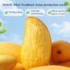 120G Dried Mango