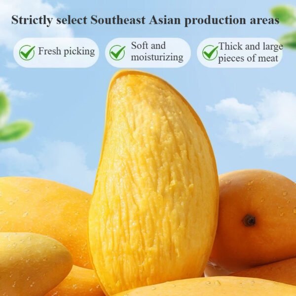 120G Dried Mango