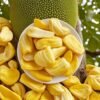 Freeze-Dried Jackfruit Slices 100% Natural