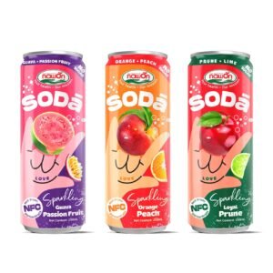 Blueberry Sparkling Fruit Soda 320ml